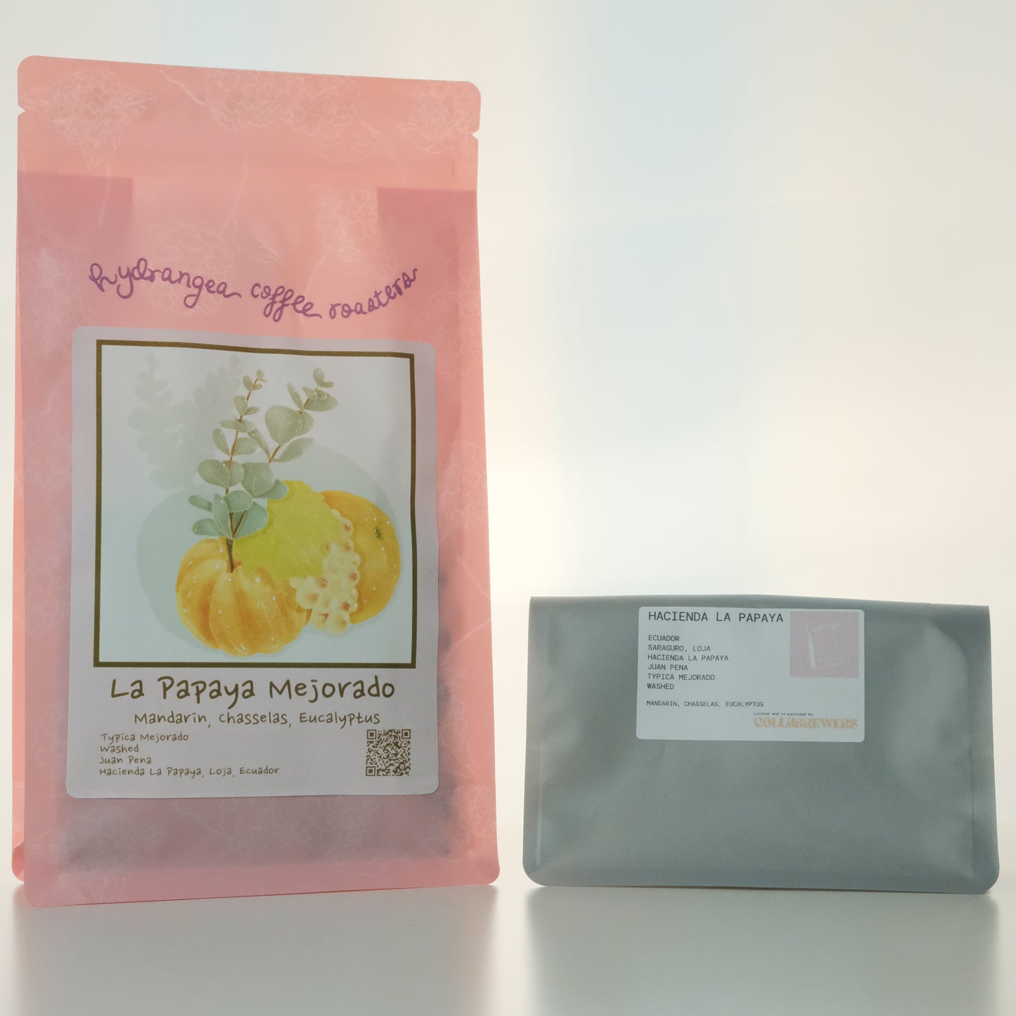 LA PAPAYA TYPICA MEJORADO ECUADOR - HYDRANGEA, USA (45g Pouch)