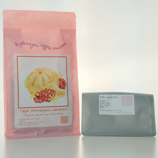 TAGEL ALEMAYEHU WASHED LANDRACE ETHIOPIA - HYDRANGEA, USA (45g Pouch)