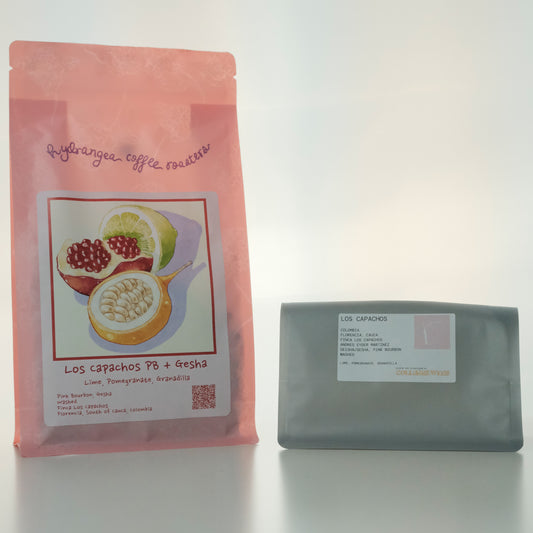 LOS CAPACHOS PB+GESHA COLOMBIA - HYDRANGEA, USA (45g Pouch) (Copy)