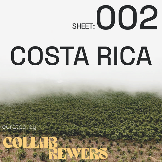 SHEET 002: lots from COSTA RICA