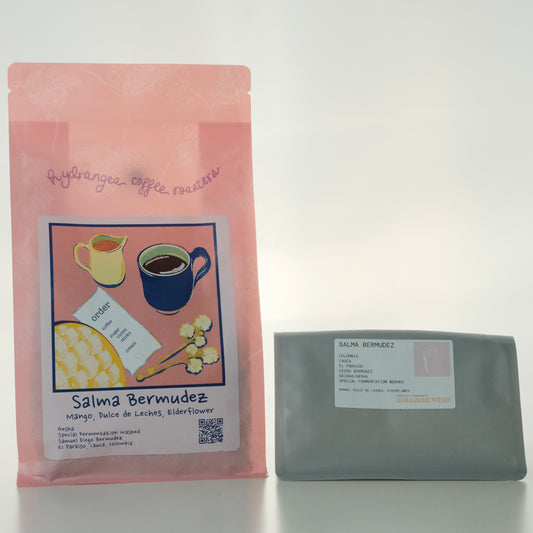 SALMA BERMUDEZ GESHA EL PARAISO COLOMBIA- HYDRANGEA, USA (45g Pouch)