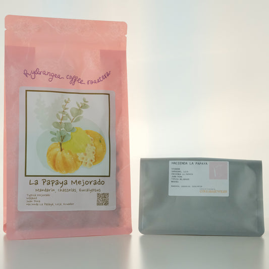 LA PAPAYA TYPICA MEJORADO ECUADOR - HYDRANGEA, USA (45g Pouch)